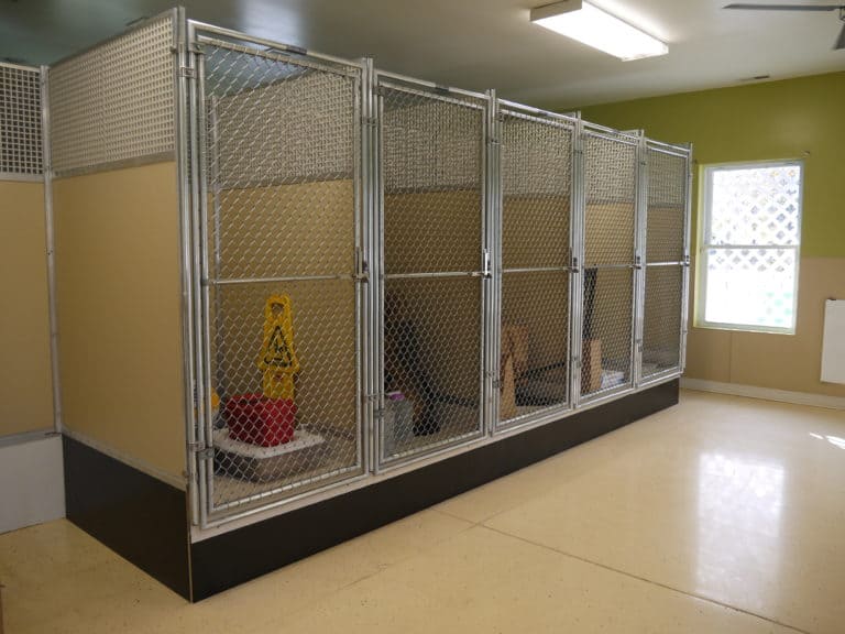 Why Your Kennel Needs an Air Purifier 3 Great Choices Acme Canine
