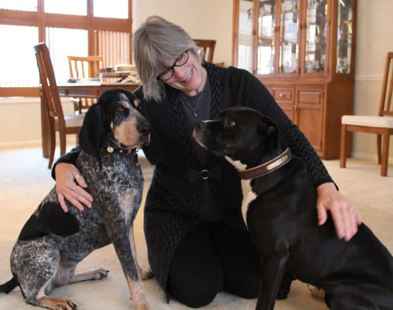 A New Direction for Acme Canine