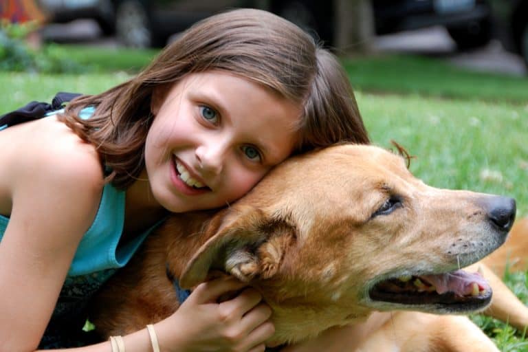 Top Jobs for a Dog Lover