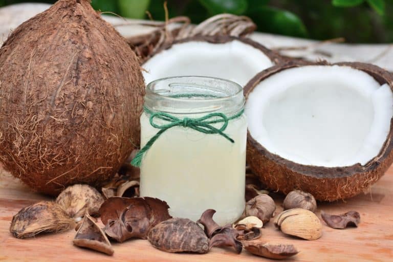 The Little-Known Benefits of Coconut Oil for Your Dog