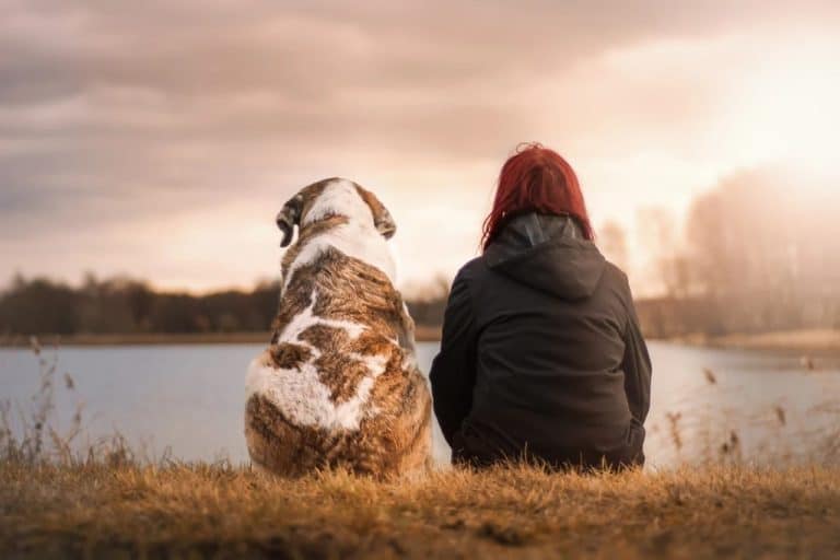 Everything You Need to Know to Take Care of Your Dog