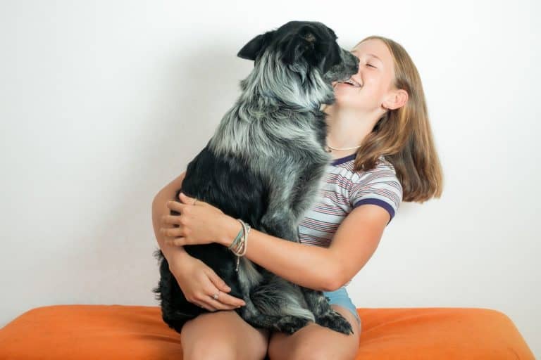 5 Ways Dogs Help Humans Live Better Lives